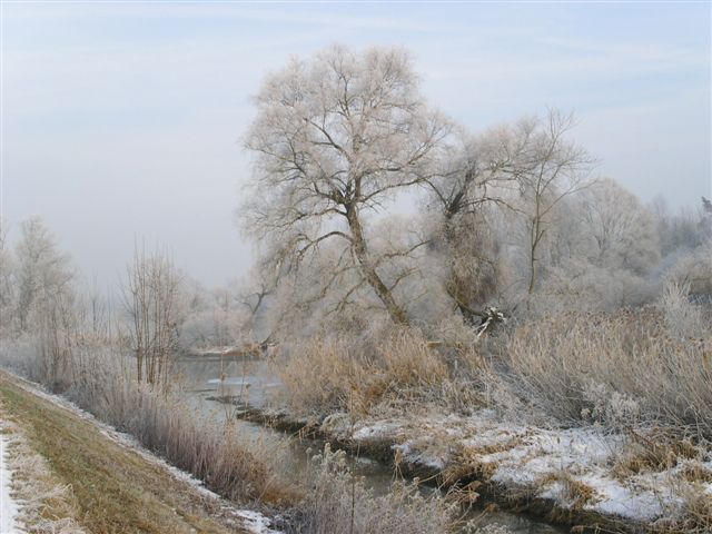 Bild 049.jpg (62 kBytes)